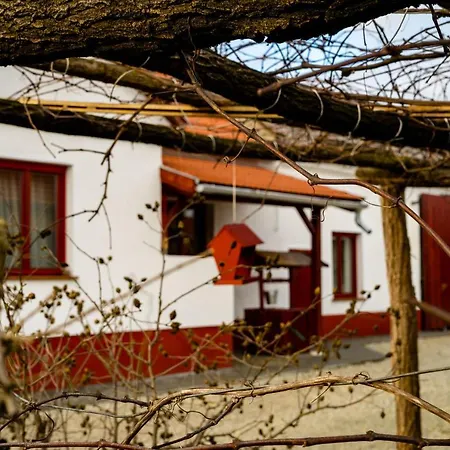 Guest house Szitakoto Vendeghaz Magyarszombatfa